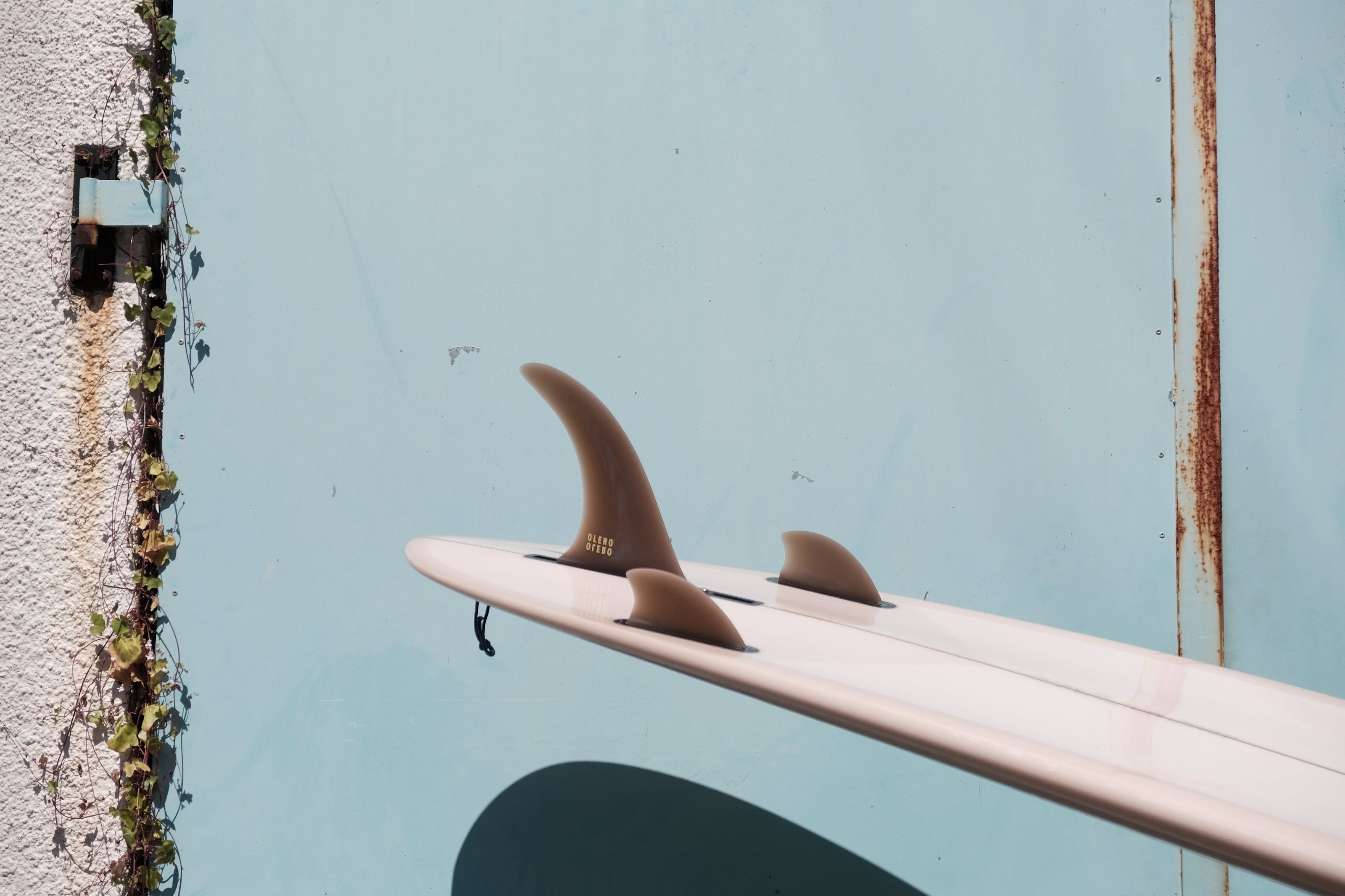 Fins